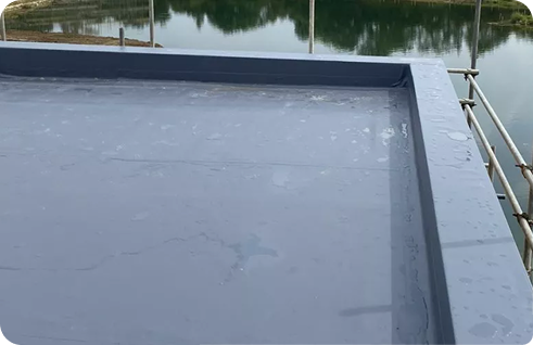 Single Ply Roofing